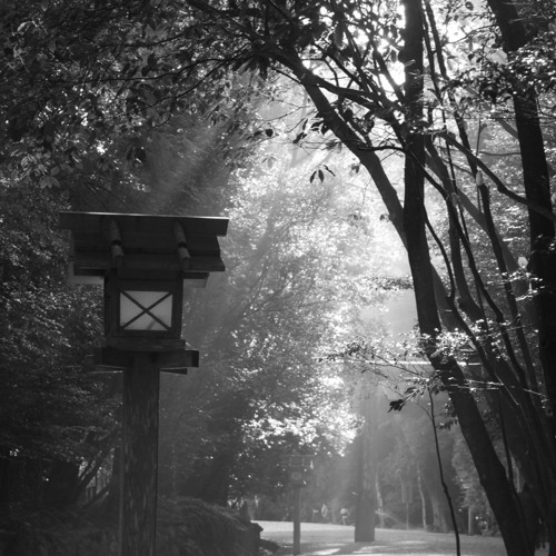 FAWM #9.5 2020 The Birdfeeder (for 2 pianos)