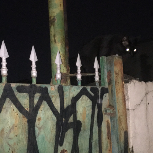 requinte - nabru, servo, baby moi prod. gust