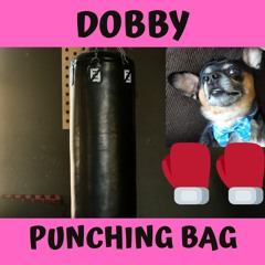 Dobby - Punching Bag