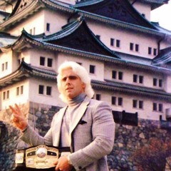 tboogs - ric flair