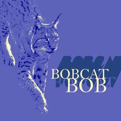 Bobcat Bob