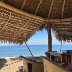 🏝️🏝️🍾🍾