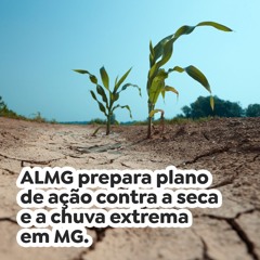 ALMG prepara plano de ação contra a seca e a chuva extrema em MG