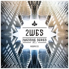 2WES -  Choose It Right ( Original Mix ) | No Sense Of Place Records |