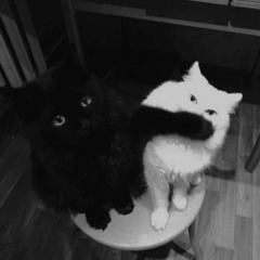 Серебро – Мало тебя x Don Toliver – FWU (Mashup)