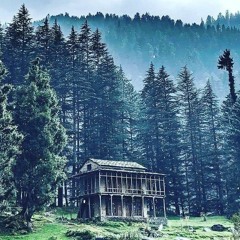 Maa parvati returan track by  Dharma fairy forest pulga