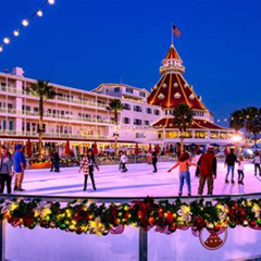 Best Things To Do In San Diego Christmas Tours Reviews