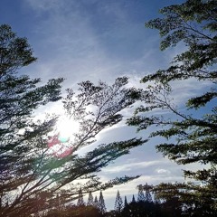 binalot ko ang isang buong araw kasama ka na kinanta ng akong ayalam.