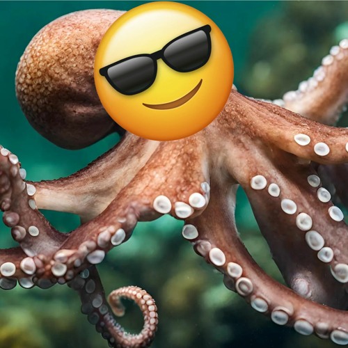 Pulpo