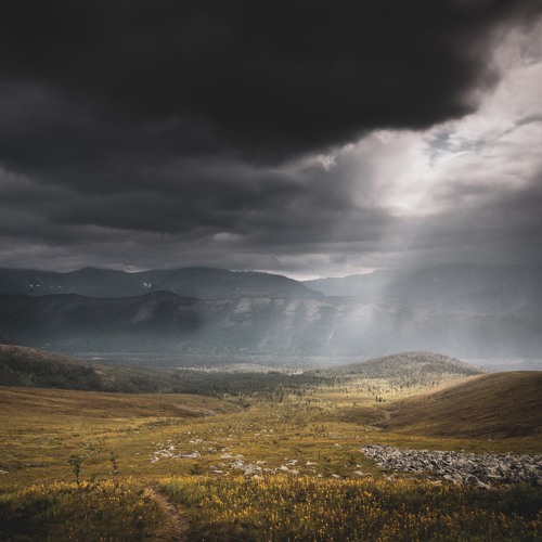 Hidden Forest Part 2