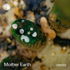 DIM302 - Mother Earth