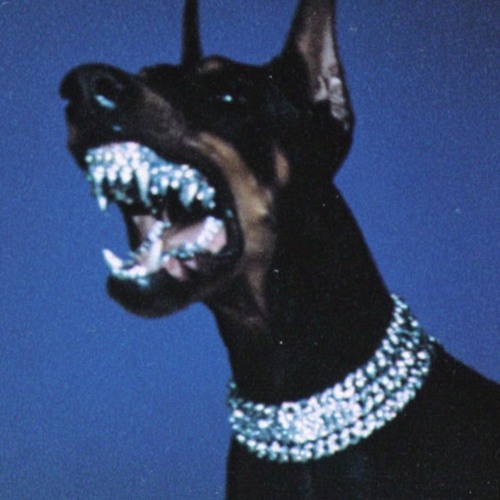 Bad Bitch Money (prod. Monteori)