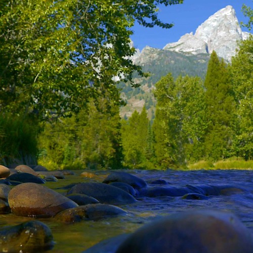 Mountain Stream Water Sounds for Relaxation, Studying or Sleeping | White Noise (75 Minutes)