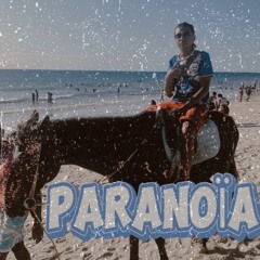 Paranoïa(troll).m4a