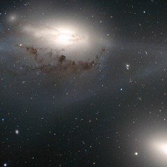 01 Ektogénesis Parte 1 demo