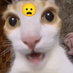 lật kèoo