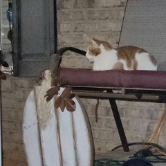 Ecstacy remix WIP OLD