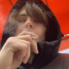 rabbit Roger /shxytsu