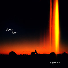 Down Low (YDG Remix) [feat. Sorana]