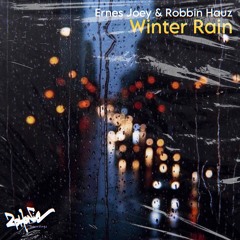 02.Ernes Joey & Robbin Hauz - Winter Rain (Manuel Costela Dub Rmx)