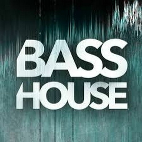 BASS HOUSE DJ SET