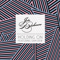 Holding On (feat. Sam Dew)