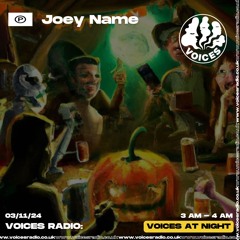 Joey Name - 02/11/24 - Voices Radio
