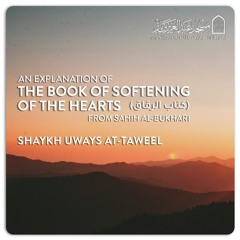 Explanation of Saheeh Al-Bukhāri - Uways - Lesson 74 - Be a stranger  H6416