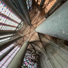 Cathédrale 144 //PRADACASKET