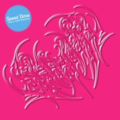 speed drive - charli xcx (shayler's super speedy flip)