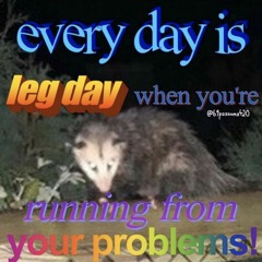 bhocolate bhip bookies