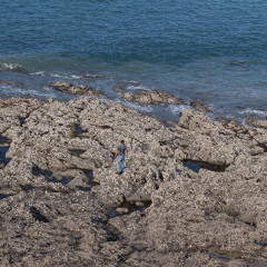 Plage du Verger (Cancale)