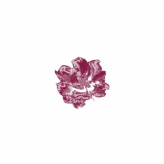 magnolia (KAM dub)