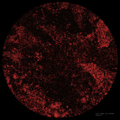 Franco Rossi, Juan Dhalgren - Boreal I