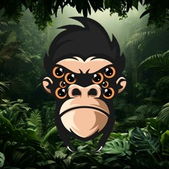 Spider Monkey Debut Mix