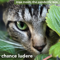 Max meets the Pandemic Box