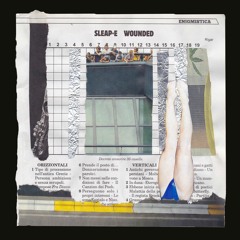 Sleap-e - Wounded