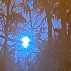 Moony Habits w/ Alex Ho & Charles Moon 250522