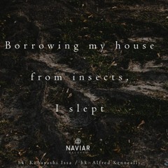 Borrowing My House (naviarhaiku374)