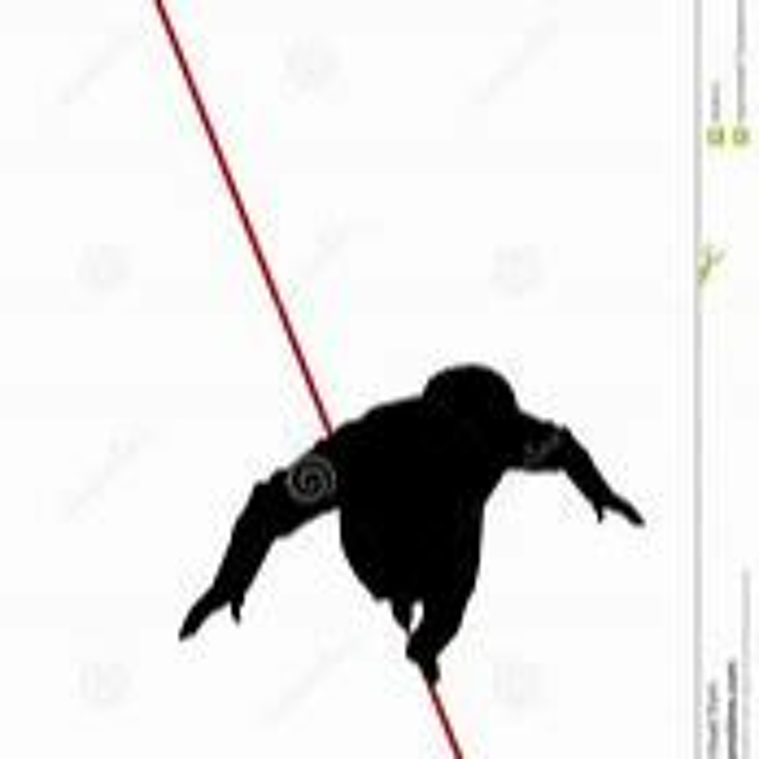 Tight rope walker episode artwork