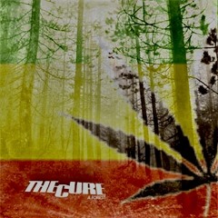 A forest - reggae mix