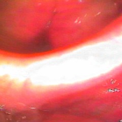 essa é a última que eu vou cantar pra você - Labaq