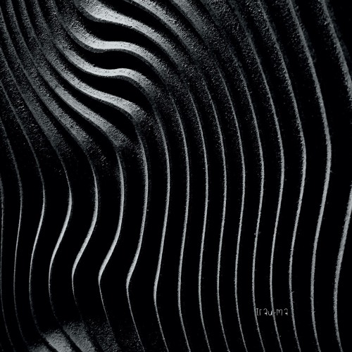 Tobhias Guerrero - Natural Rotation (Original Mix) [TRM237]