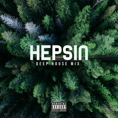 Hepsin - Deep House Trip Mix 1 (Groovy Vocals)