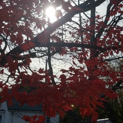 There Is No War In Ba Sing Se