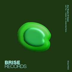 PREMIERE: Any Shade Of Green  - Like That [ Brise Records ]
