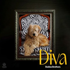 Bubba Brothers - Diva (Original Mix)