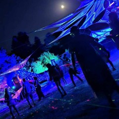 Dark Forest Psytrance Mix 2023 - Bee Trip Festival Live Set