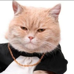 dEc - Damn son of Aguzarova