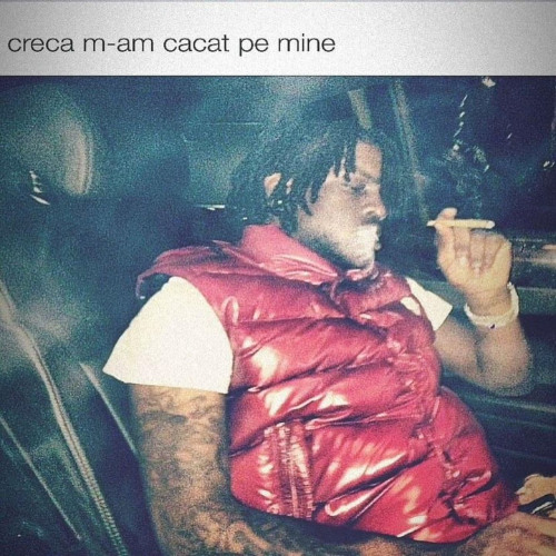 ★·.·´¯`·.·★   🎀  𝒜𝐿𝐸𝒳𝒮𝒰𝒢𝐸𝒫𝒰𝐿𝒜:𝟥  🎀   ★·.·`¯´·.·★